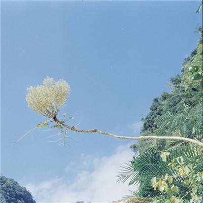 众神风爆游戏