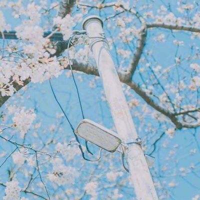 小小战场红包版下载