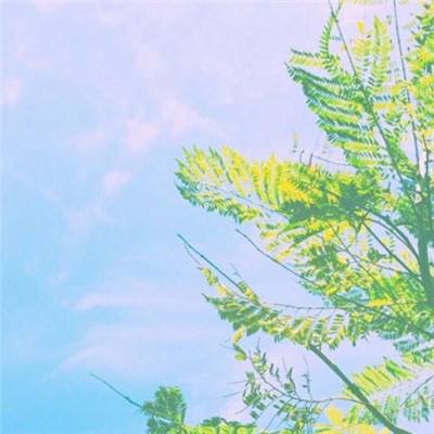 装甲战姬手游